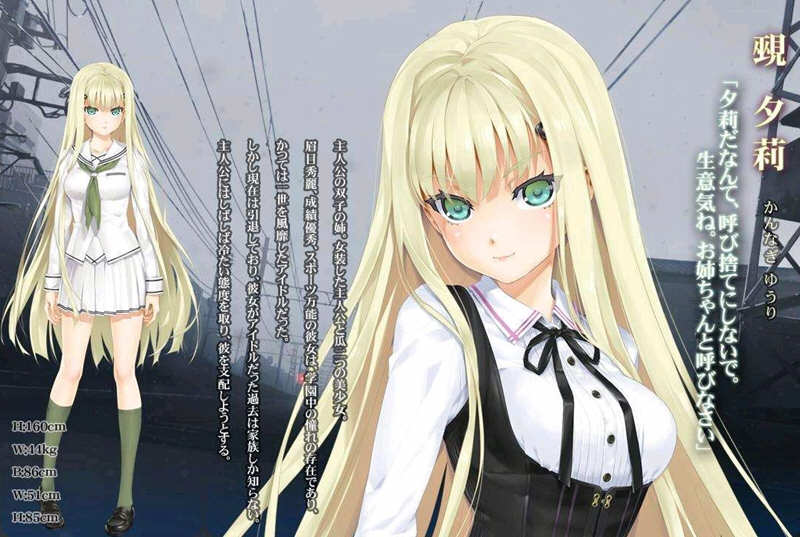 美少女万华镜 1-5 官中全系列 PC+安卓端 神级ADV收藏 36G