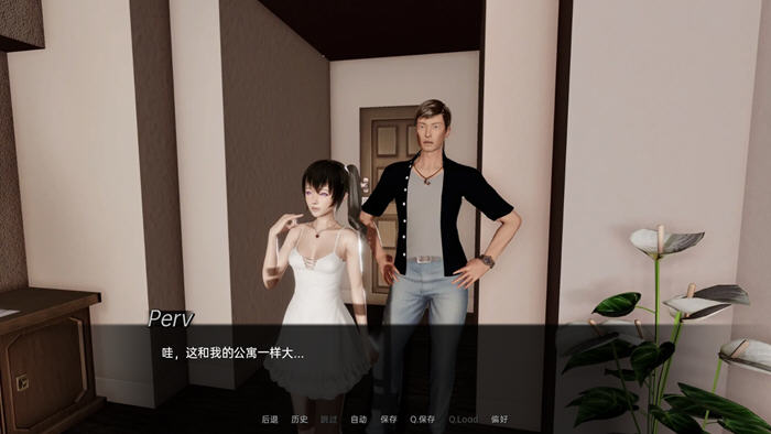 迷一样的遗产Ver0.6汉化版PC+安卓SLG游戏&新作[1.9G]