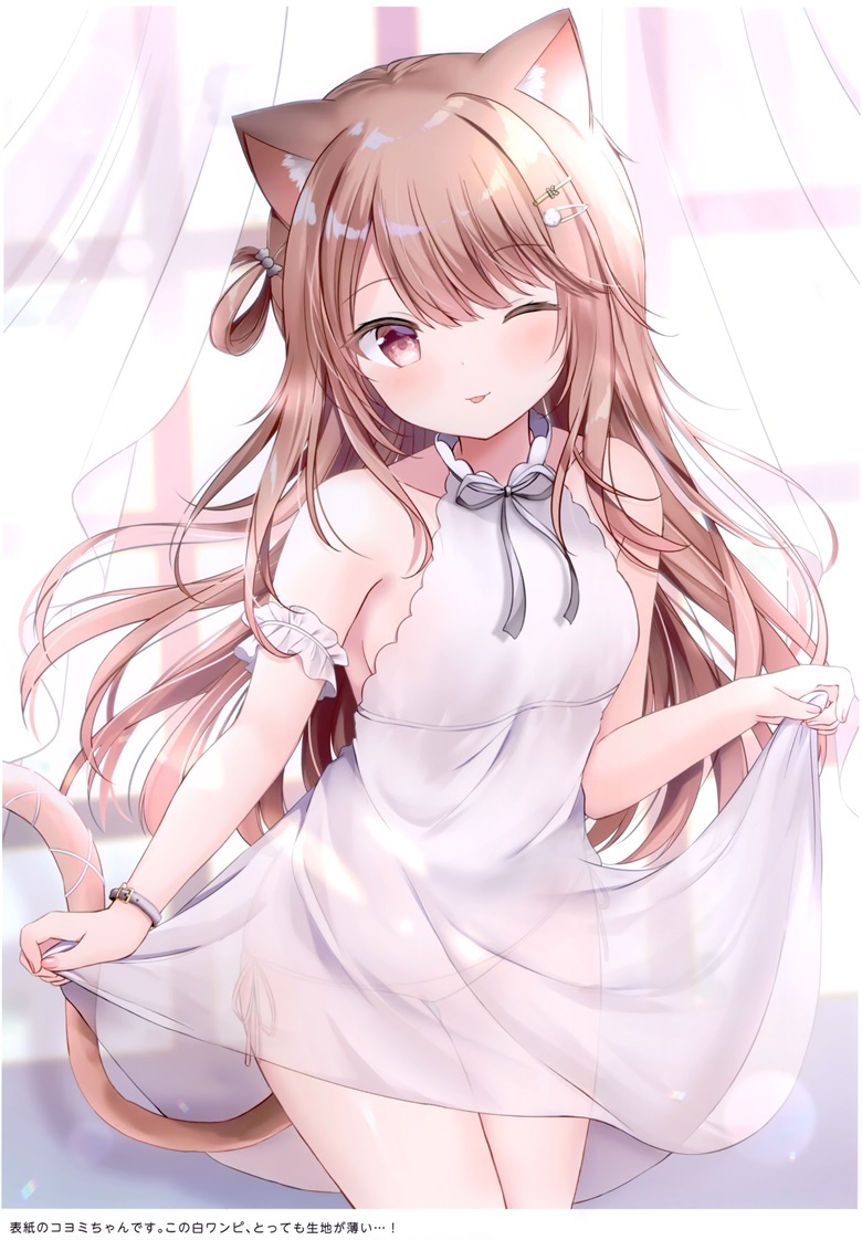 (秋葉原同仁祭 第3回) [銀のあめ (まさよ)] KOYOMEAL (オリジナル)
