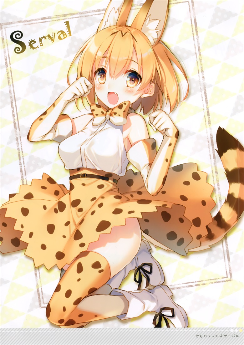 (C92) [AliceSyndrome＊ (遠坂あさぎ)] SCHEIN (よろず)