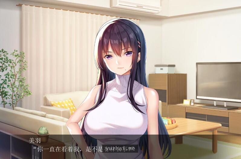 请停手吧姐姐大人！要断了！完整汉化版 PC+全CG