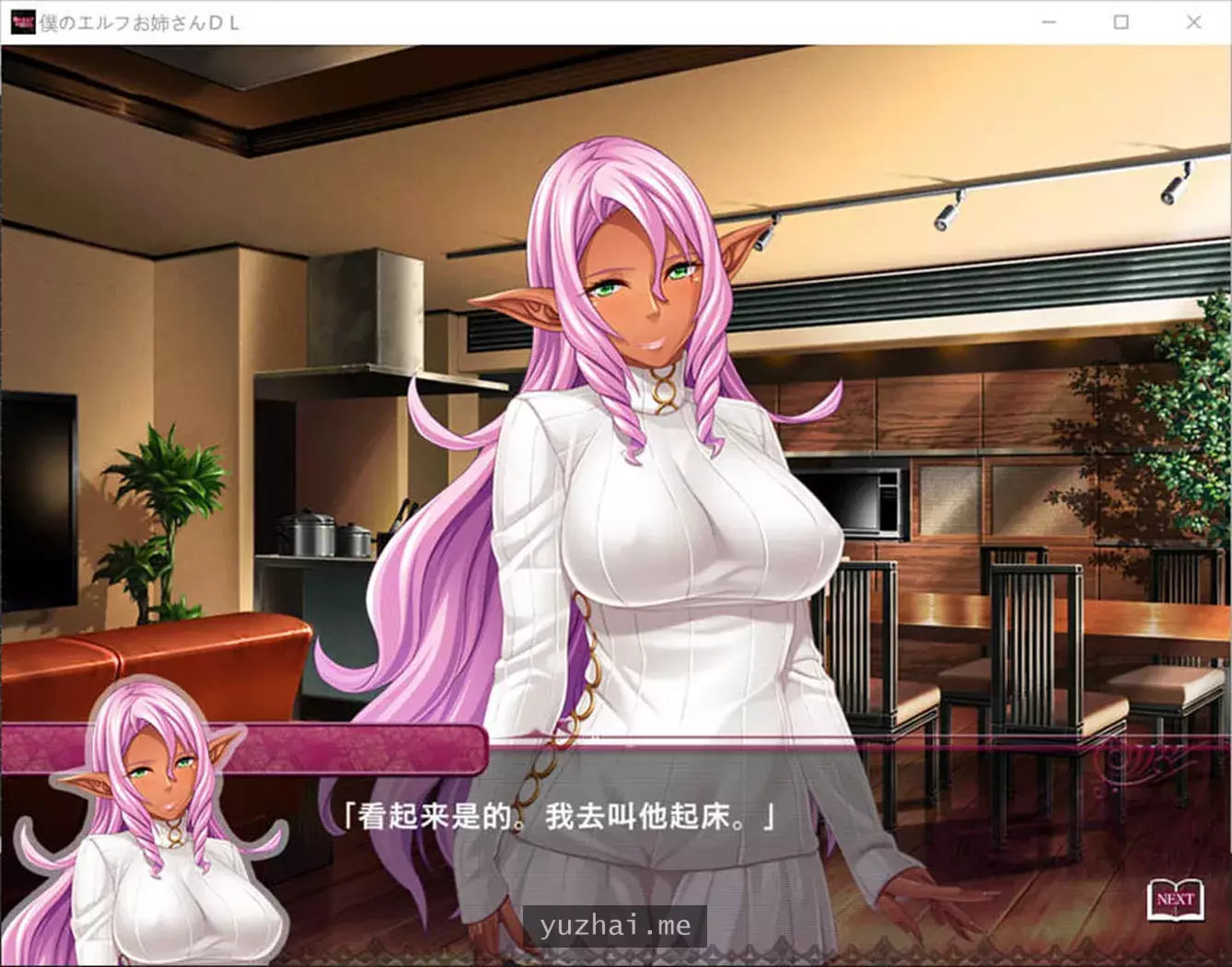 我的精灵姐姐AI汉化版+全CG存档★全CV[1.1G]